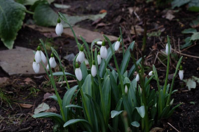 DSCF5639.JPG