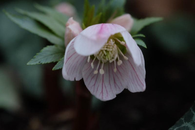 DSCF5642.JPG