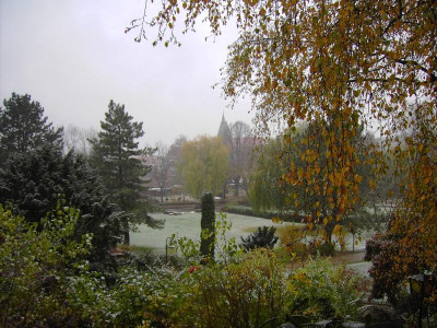 2009-11-04 PICT0735.JPG