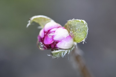 DSC_4143_DxO.jpg