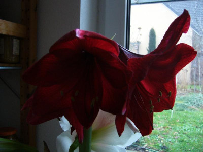 P1050840.JPG