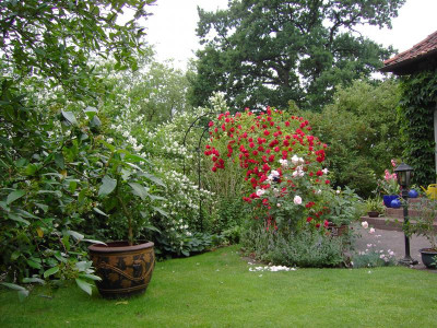 2011-06-08 PICT1528.jpg