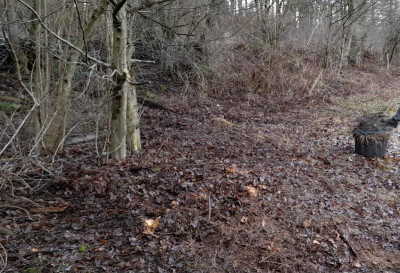 stacheldrahtentfernungabbecke.jpg