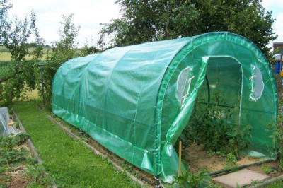 000_1993_Tomatentunnel.jpg