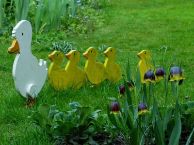 Paulinchen mit ihren Kindern 2021-05-03.JPG
