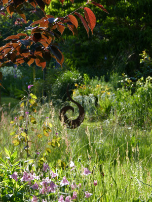 2019-05-29 Gartenimpressionen 2.jpg