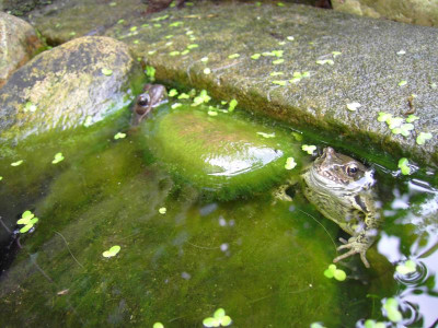 PICT0841.JPG