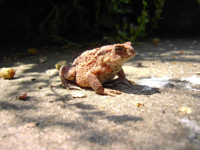 PICT0804.JPG
