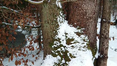IMG_20220122_115823.jpg