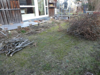 P1130677.JPG