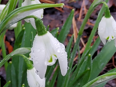 20220123_105920.jpg