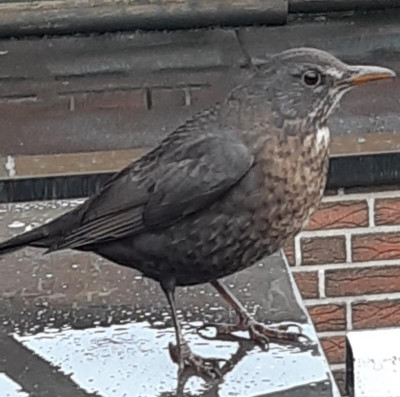 20211212_105011 (2).jpg