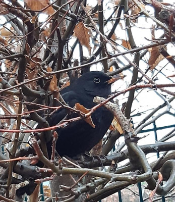 20220114_091700 (2).jpg