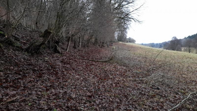 IMG-20220124-WA0003.jpeg