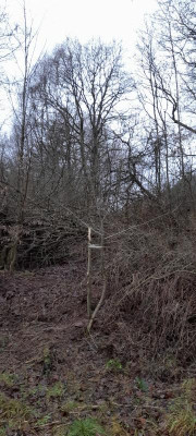 20220124_154803.jpg