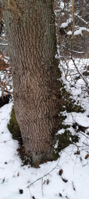 20220121_134344.jpg