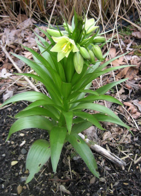 Image2_u.jpg