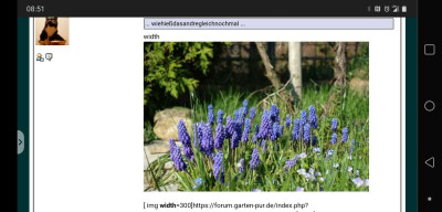 Screenshot_20220125-085143.png