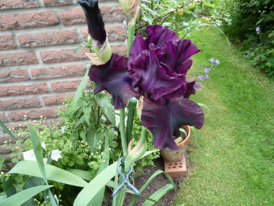 P1000169.JPG