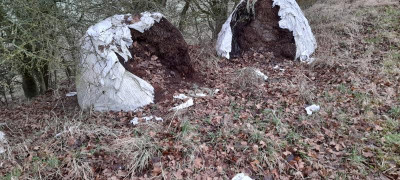 20220125_092823.jpg