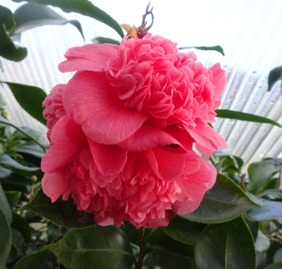 DSC07711.jpg