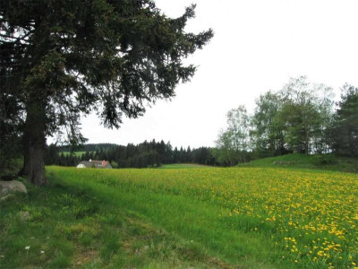 loewenwiese3 (2).jpg