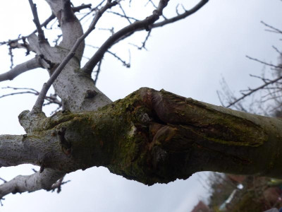P1170279.JPG