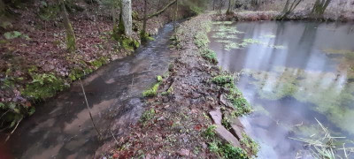 20220127_160423.jpg