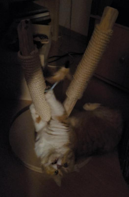 Screenshot_20220128-073513_Gallery.jpg