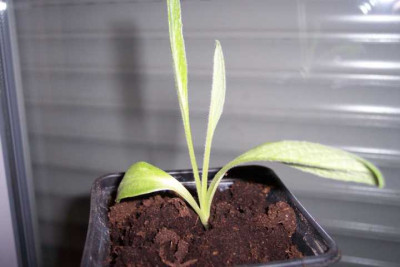 K640_100_4880.JPG