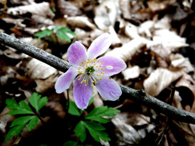 2015-04-20 16.56.52.jpg