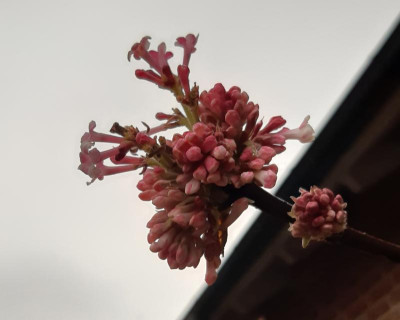 20220119_114900 - Kopiert.jpg
