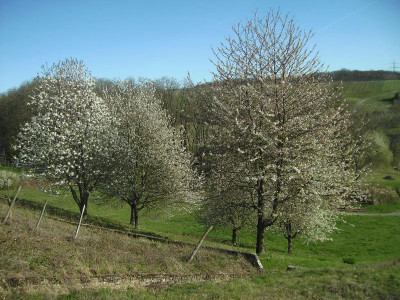 BILD0032.JPG