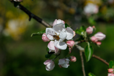 190422_100901.JPG
