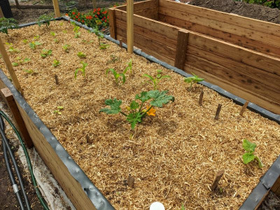 wicking bed 3.jpg