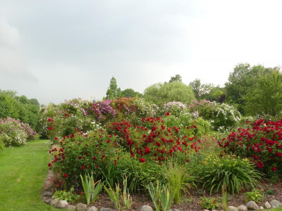 2021_0629EndeJuni280219.JPG
