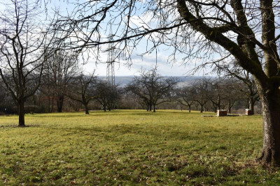 Kirschwiese Eßlingen 008.JPG