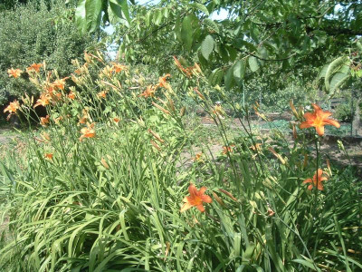 2005_0623Bild0055.JPG