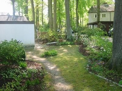 garten.JPG