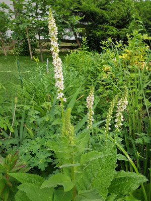 20190620_143934.jpg