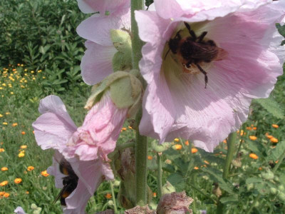2006_0713Bild0022.JPG