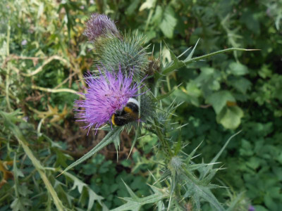 DSCN0035.JPG