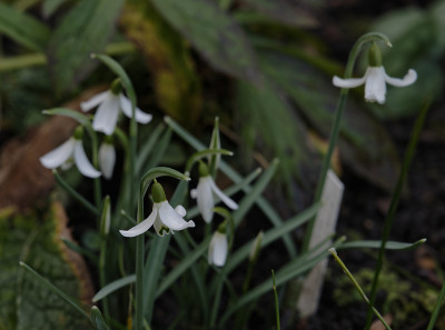 DSC_4197_DxO.jpg