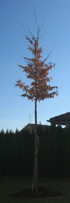 IMG_1879.jpg