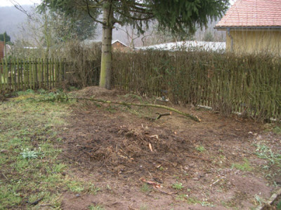 IMGP5746_vorher.jpg
