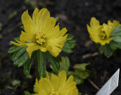 DSC_4207_DxO.jpg