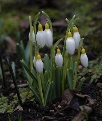 DSC_4205_DxO.jpg