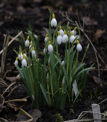 DSC_4206_DxO.jpg