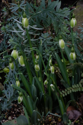 DSCF5746.JPG