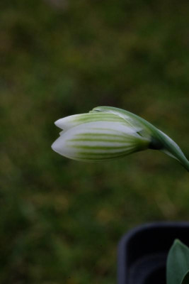 DSCF5727.JPG